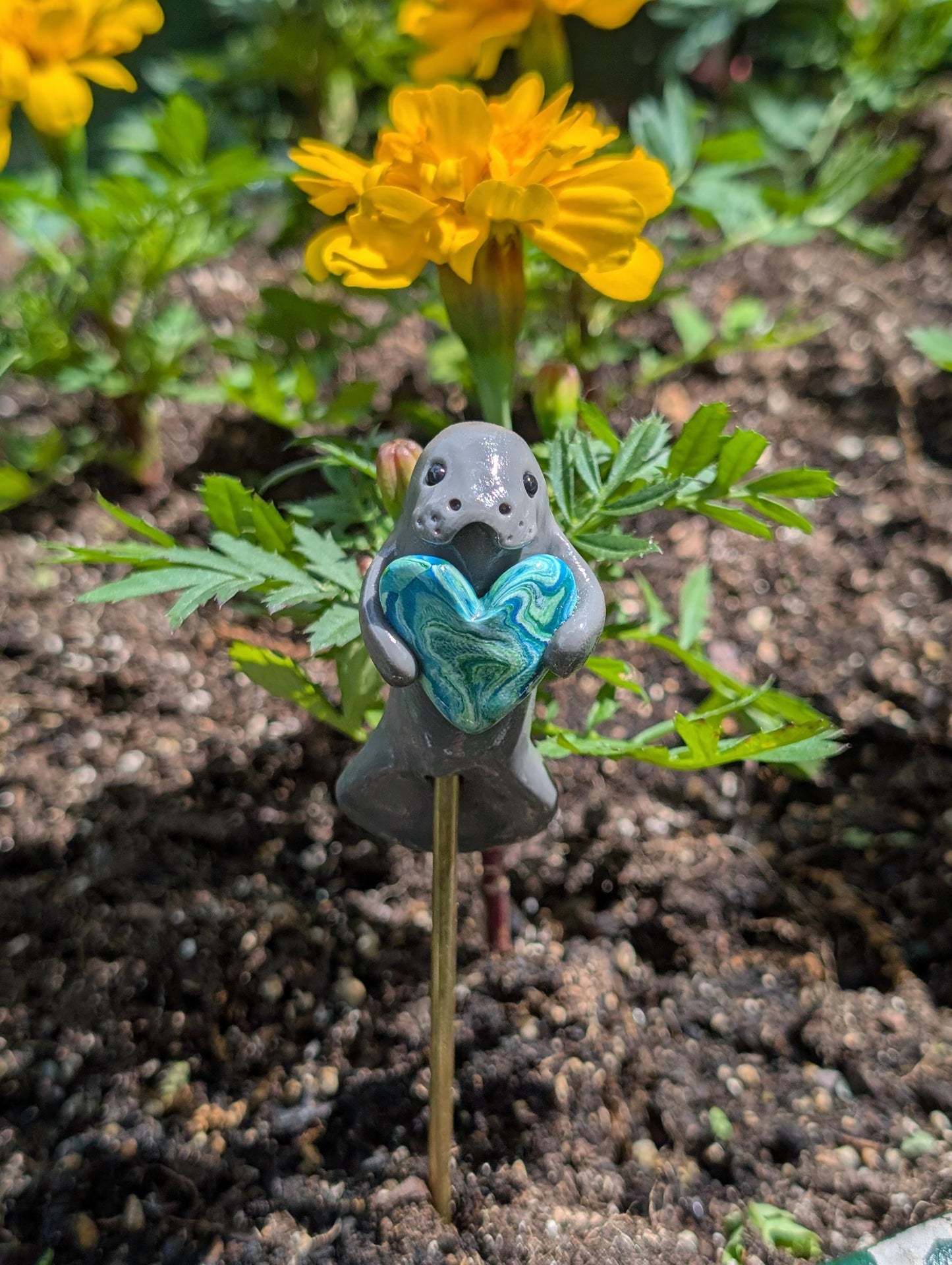 Save the Manatee Fundraiser