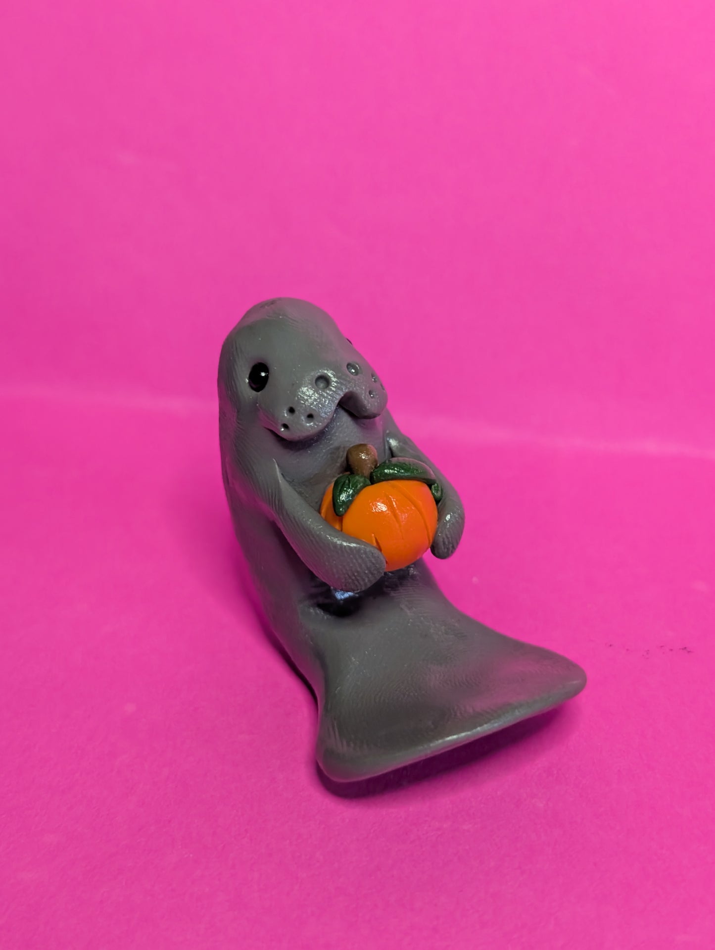 Manatee with Pumpkin