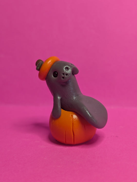 Manatee in Pumpkin