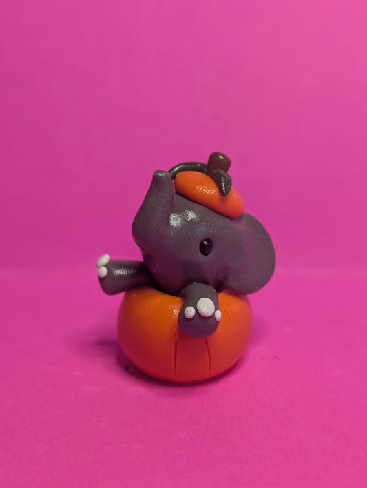 Elephant in Pumpkin