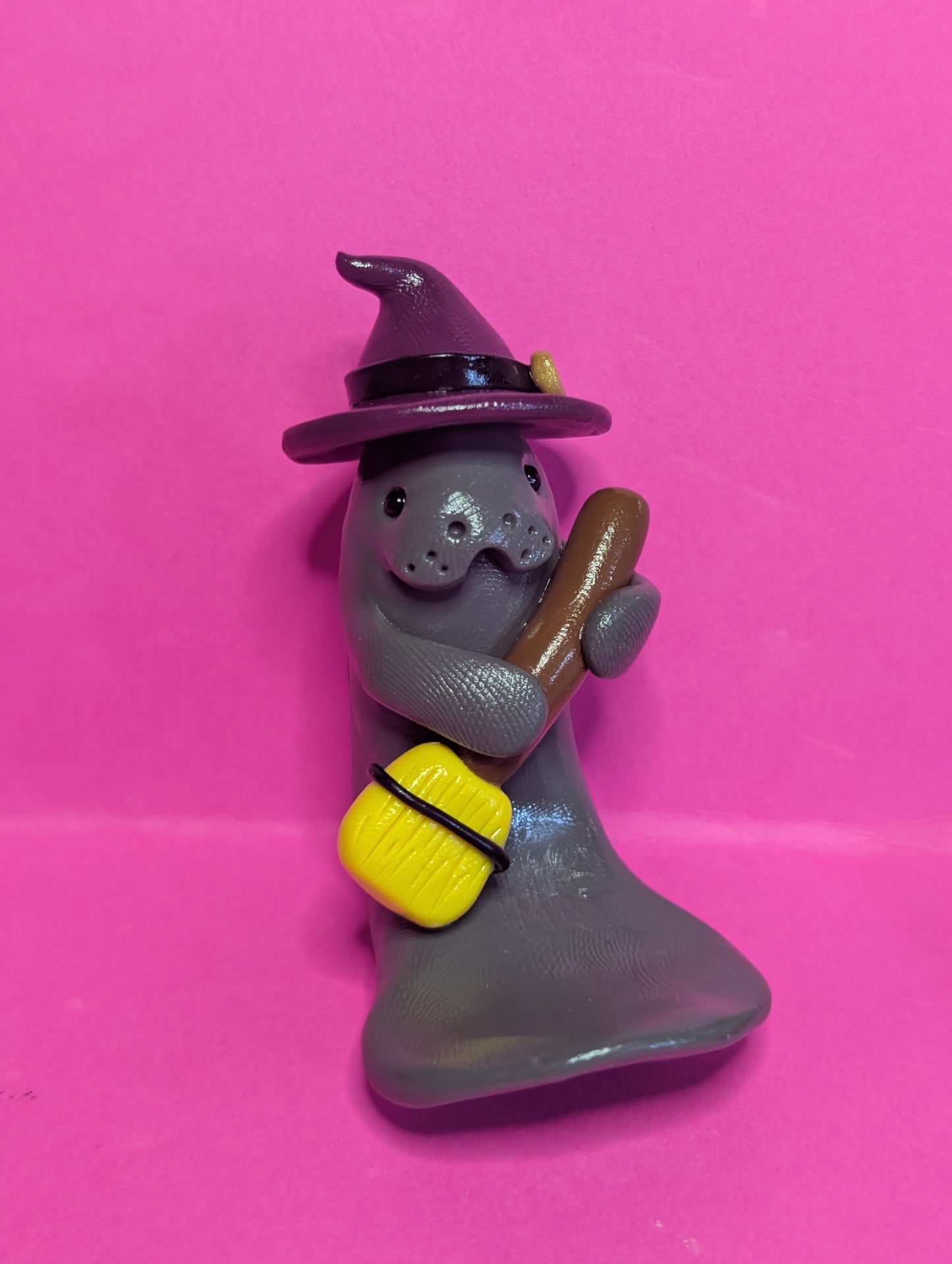 Manatee Witch Medium