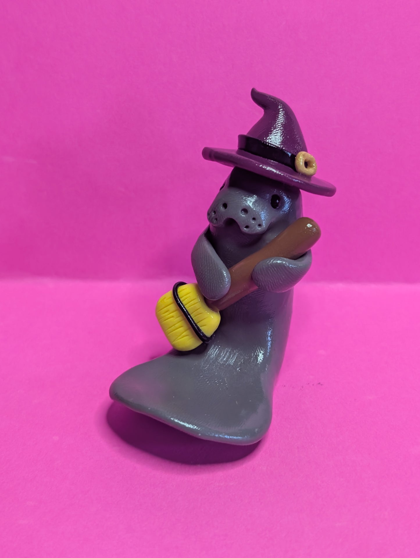 Manatee Witch Medium