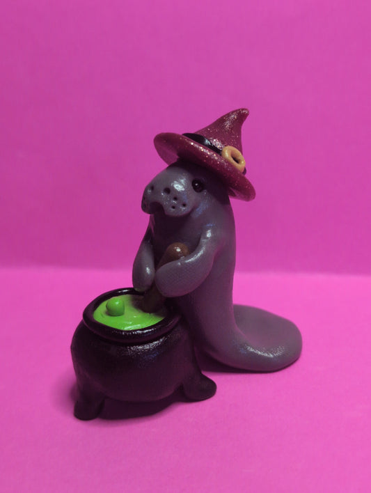 Manatee Witch