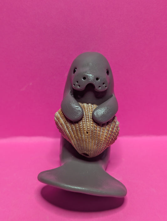 Manatee with Seashell