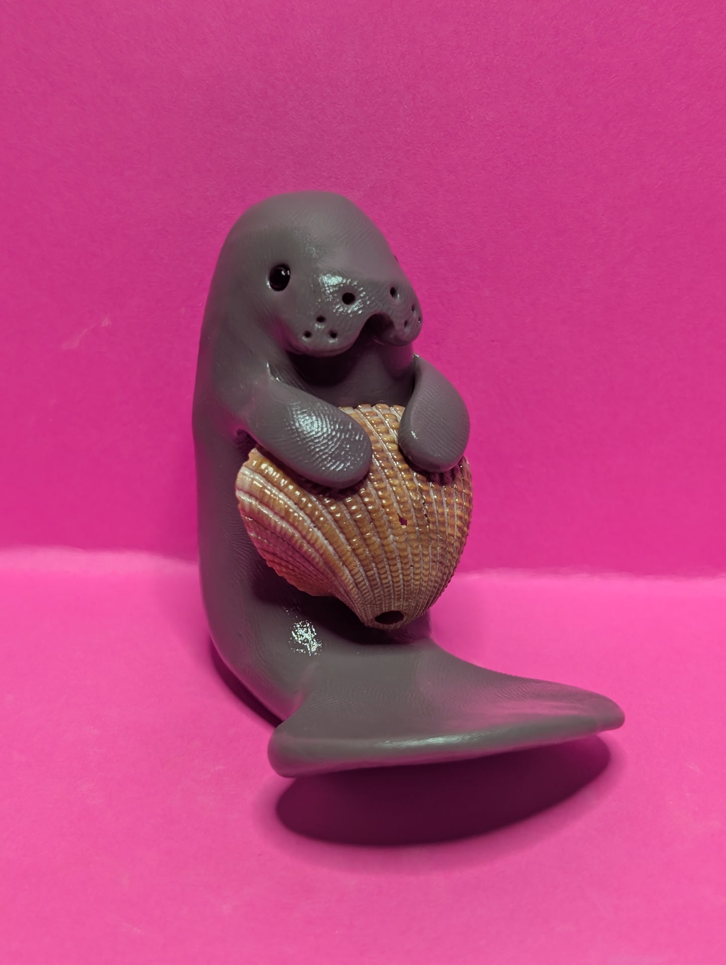 Manatee with Seashell
